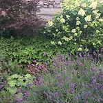 Weinreisedomizil Mit Eigenem Garten Und Parkplatz Deidesheim