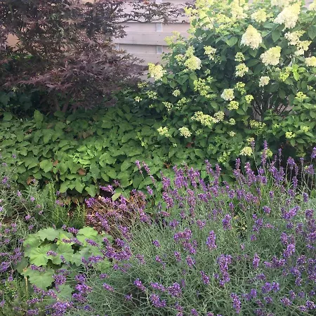 Weinreisedomizil Mit Eigenem Garten Und Parkplatz Deidesheim