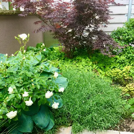 Weinreisedomizil Mit Eigenem Garten Und Parkplatz 公寓 *