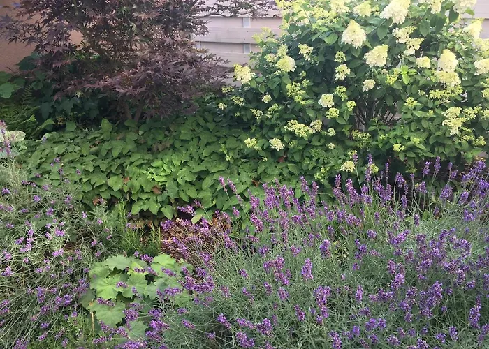 Weinreisedomizil Mit Eigenem Garten Und Parkplatz Deidesheim