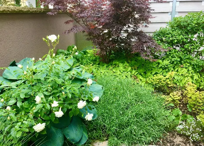 Weinreisedomizil Mit Eigenem Garten Und Parkplatz 公寓 *